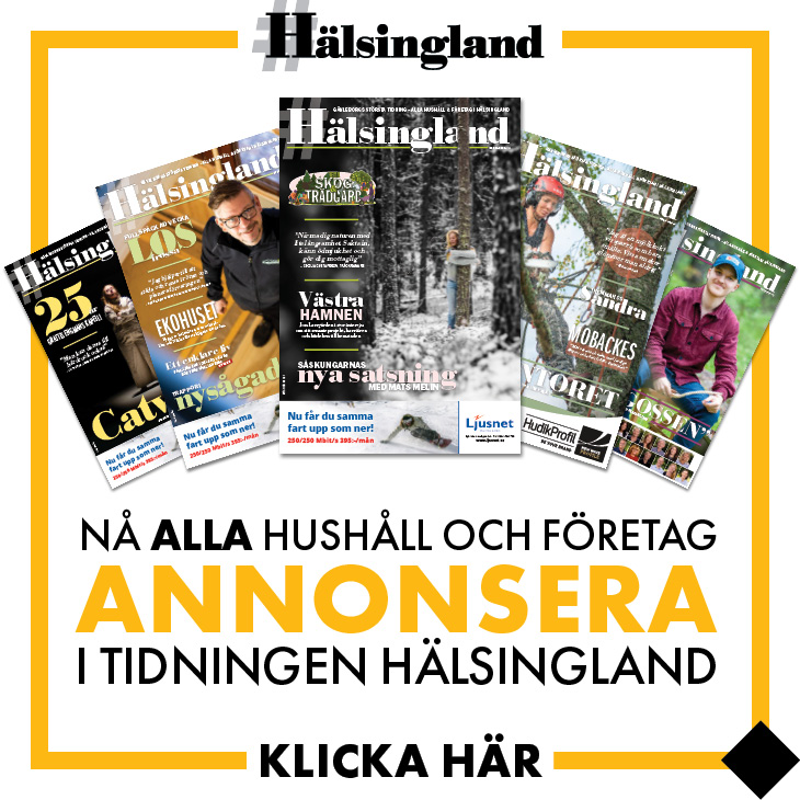 Annonsera i tidningen #Hälsingland